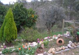 Rustic House - T3 - Almoster Alvaiazere