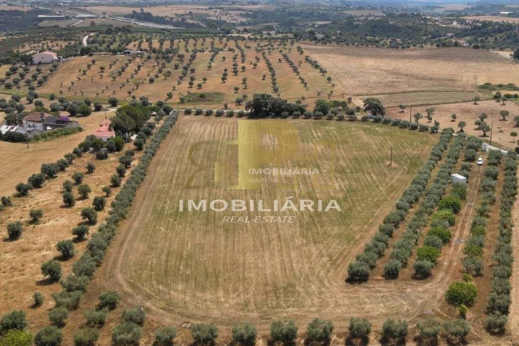 Land Santarém