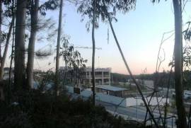 Bouça