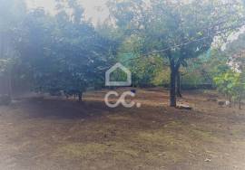 Land in Fornelo!