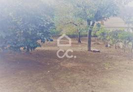 Land in Fornelo!