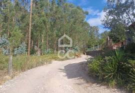 Eucalyptus Land in Vale S. Cosme!