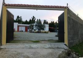 Fantastic Quinta Castelo Branco