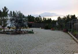 Fantastic Quinta Castelo Branco