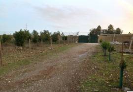 Farmhouse Castelo Branco