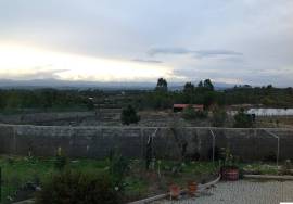 Fantastic Quinta Castelo Branco
