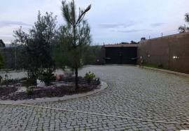 Fantastic Quinta Castelo Branco