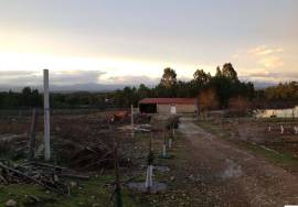 Farmhouse Castelo Branco