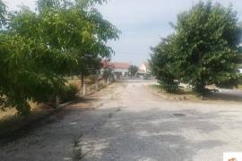 Aemazem in Cebolais Castelo Branco