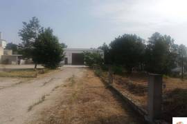 Aemazem in Cebolais Castelo Branco