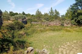 Homestead in Póvoa e Meadas Nisa