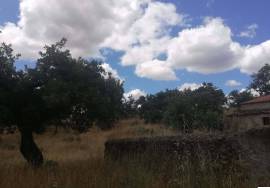 Homestead in Póvoa e Meadas Nisa