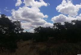 Homestead in Póvoa e Meadas Nisa