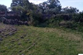 Homestead in Póvoa e Meadas Nisa