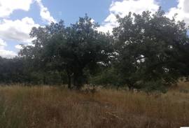 Homestead in Póvoa e Meadas Nisa