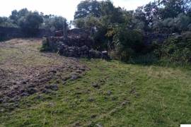 Homestead in Póvoa e Meadas Nisa