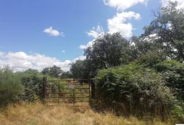 Homestead in Póvoa e Meadas Nisa