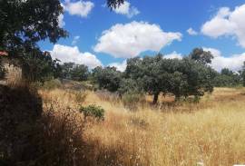 Homestead in Póvoa e Meadas Nisa