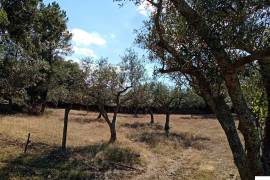 Homestead in Póvoa e Meadas Nisa