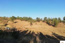 Land Castelo Branco