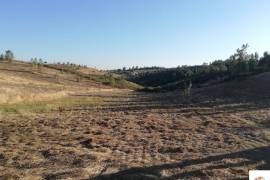 Land Castelo Branco