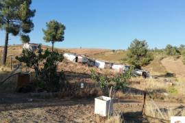 Land Castelo Branco