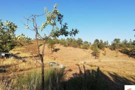 Land Castelo Branco