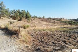 Land Castelo Branco