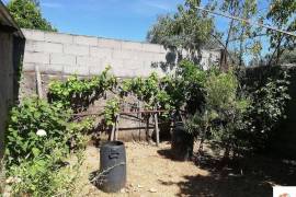 Land Castelo Branco