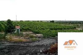 Farm T0 with Vineyard 3.5Ha and with own water in Nisa.