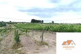 Farm T0 with Vineyard 3.5Ha and with own water in Nisa.
