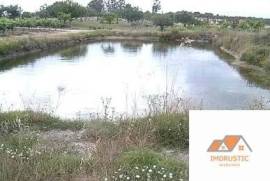Farm T0 with Vineyard 3.5Ha and with own water in Nisa.