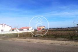 Land Alpiarça