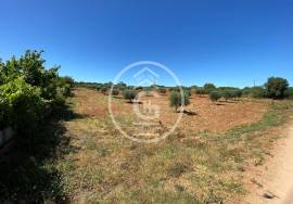 Land Cartaxo