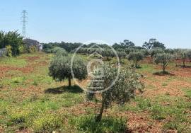 Land Cartaxo