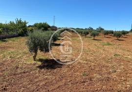 Land Cartaxo