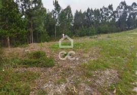 Land Leiria Carvide
