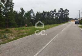 Land Leiria Carvide
