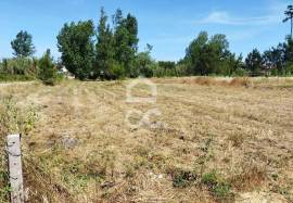 Land Marinha Grande Vieira de Leriria