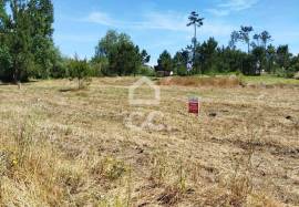 Land Marinha Grande Vieira de Leriria