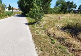 Land Marinha Grande Vieira de Leriria