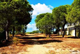 Plot Varandas do Lago