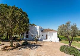 Farm located between Guia and Vale de Parra in the Algarve