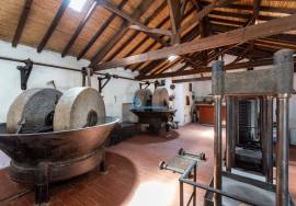 Farm located between Guia and Vale de Parra in the Algarve