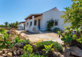 Farm located between Guia and Vale de Parra in the Algarve