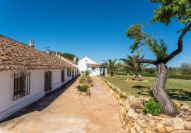 Farm located between Guia and Vale de Parra in the Algarve