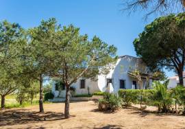 Farm located between Guia and Vale de Parra in the Algarve