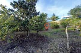 4 +1 Bedroom house for sale in Albufeira