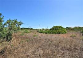 LARGE URBAN PLOT, BARÃO SÃO MIGUEL. LARGE URBAN PLOT, BARÃO SÃO MIGUEL.
