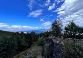 LAND FOR CONSTRUCTION